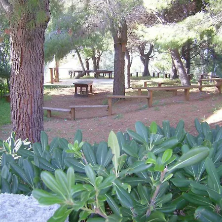Trilocale 30 La Giungla Falerna Scalo